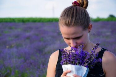 ラベンダーの香りを嗅ぐ女性の写真